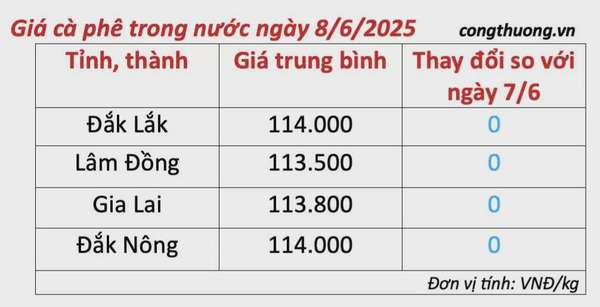 Dự báo giá cà phê ngày mai 9/6/2025, trong nước đi ngang