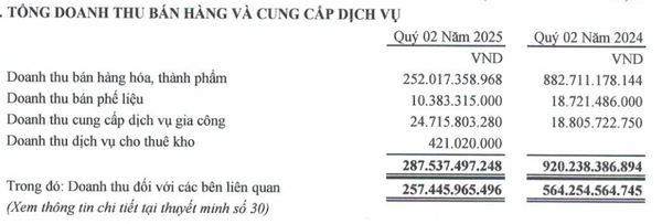 Cơ cấu doanh thu
