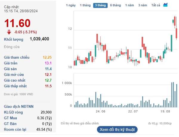 3 công ty con liên quan đến sai phạm trong việc cổ phần hóa của DIC Corp giờ ra sao?