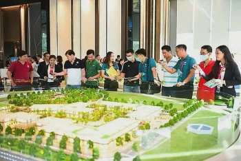 Ảnh bài viết