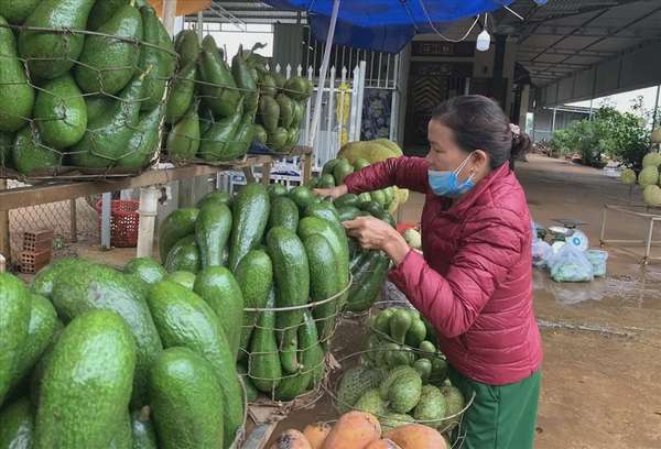 Ảnh bài viết