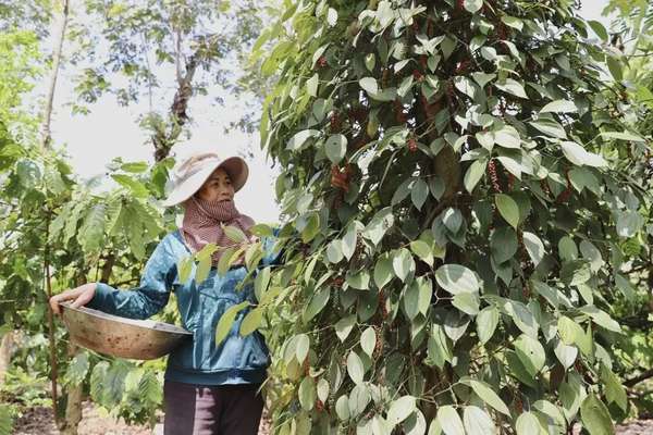 Ảnh bài viết