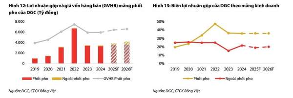 Lợi nhuận gộp và đóng góp lợi nhuận của DGC