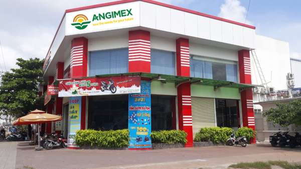 3716-angimex