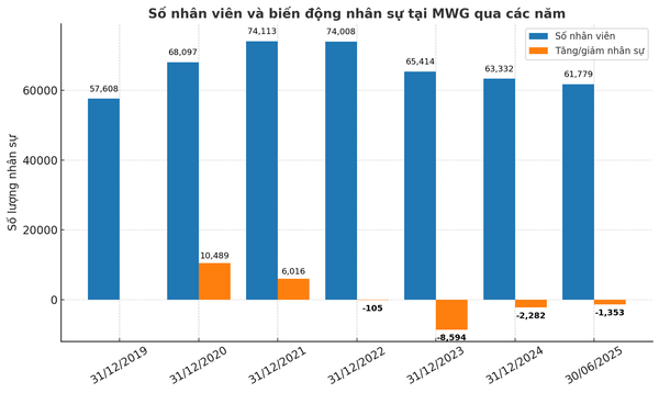 Biểu đồ nhân sự