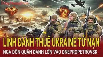 Ảnh bài viết