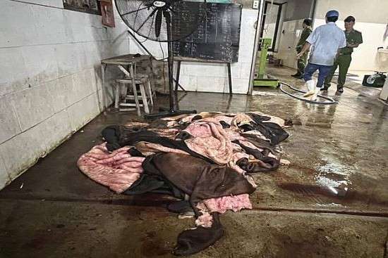 Đà Nẵng: Phát hiện gần 4 tấn da bò bốc mùi hôi chuẩn bị tuồn ra thị trường
