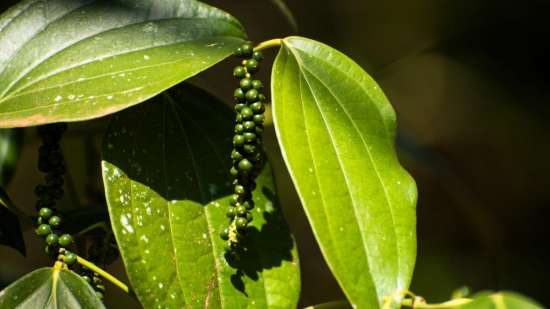 Ảnh bài viết