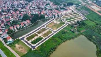 Ảnh bài viết