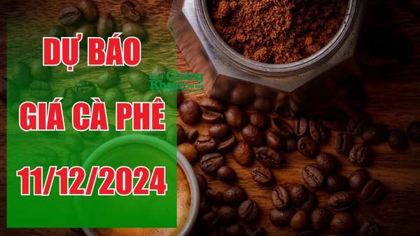 Dự báo giá cà phê ngày 11/12/2024: Giá có thể tăng nhẹ trong phiên tới?