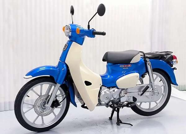 cub1.jpg