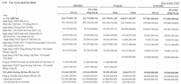 Áp lực nợ bủa vây, Fecon phát hành lô trái phiếu trị giá 120 tỷ đồng