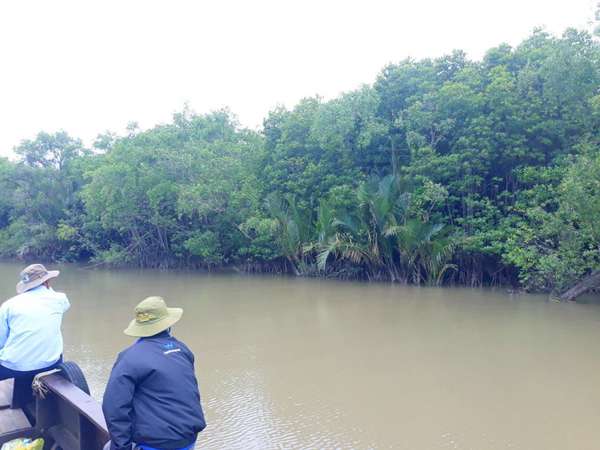 Đồng bằng sông Cửu Long: Trách nhiệm cộng đồng trong cuộc chiến chống chịu biến đổi khí hậu