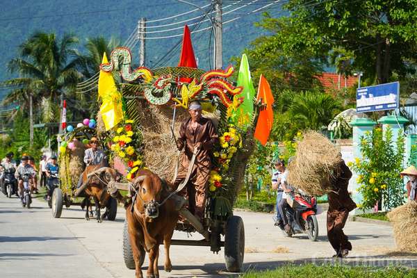 Khánh Hòa: Nhà nông trổ tài đua xe bò