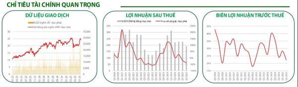 Các chỉ tiêu tài chính quan trọng của HCM