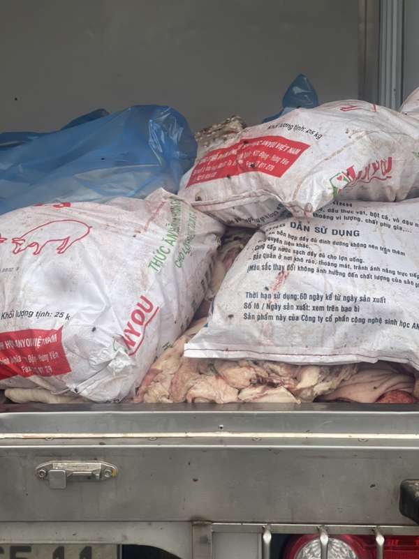 Hưng Yên: Bắt giữ, tiêu hủy 515 kg thịt lợn bốc mùi hôi thối