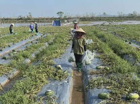 Ảnh bài viết