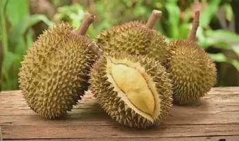 Ảnh bài viết
