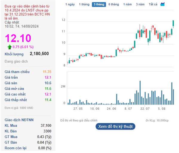 Lỗ lũy kế bằng 1/3 vốn điều lệ, TDC thay cả Chủ tịch và CEO, cổ phiếu trên sàn vẫn nổi sóng