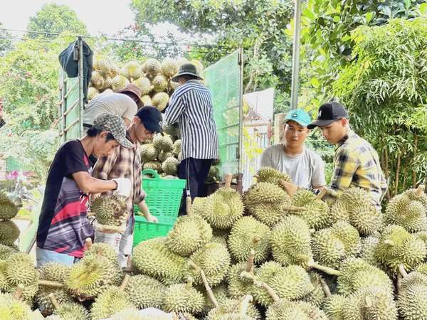 Ảnh bài viết