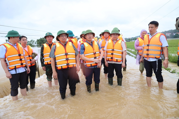 Ảnh bài viết