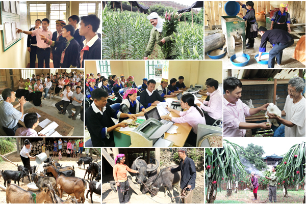 Nâng cao năng lực hoạt động và năng lực tài chính của Ngân hàng Chính sách xã hội Việt Nam trong bối cảnh mới