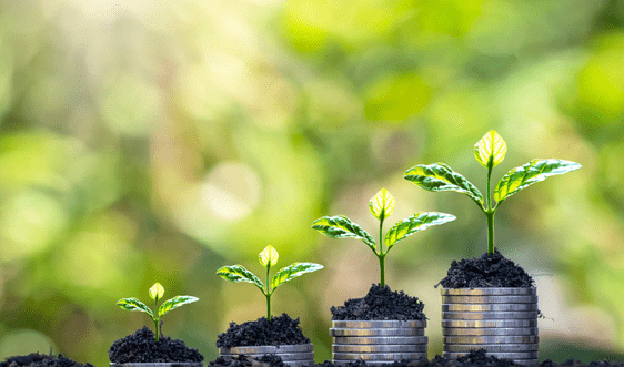 Syngenta Việt Nam tham gia chương trình huy động nguồn vốn xanh của HSBC