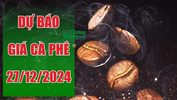 Dự báo giá cà phê ngày 27/12/2024: Kỳ vọng tăng nhẹ