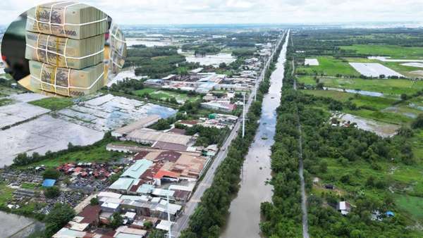 Ảnh bài viết