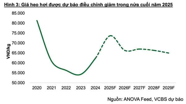 Doanh nghiệp chăn nuôi sẽ còn hưởng lợi, cổ phiếu cũng tiếp tục 