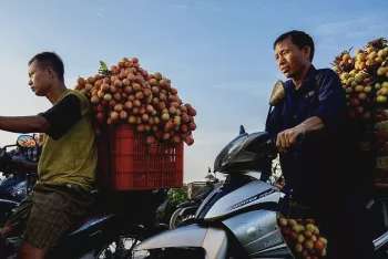 Ảnh bài viết