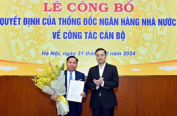 Ảnh bài viết