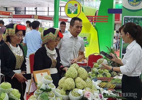 Tuần lễ quảng bá Na, nông đặc sản và sản phẩm OCOP tỉnh Lạng Sơn năm 2023