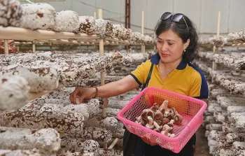 Ảnh bài viết