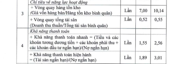 Công ty CP Vận tải biển Việt Nam: Bán tàu “già”, trả tàu hợp đồng, đặt kế hoạch lợi nhuận trước thuế tăng 61% trong năm 2024