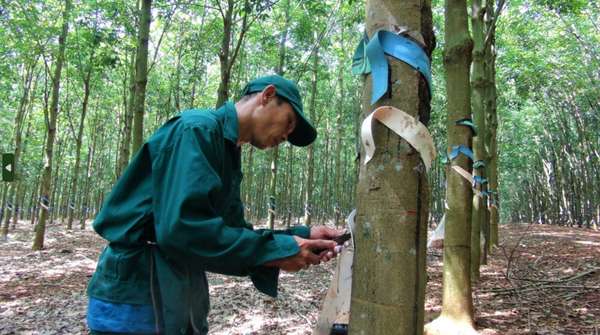 Tâm điểm tháng 6 gọi tên những cổ phiếu nào?