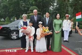 Ảnh bài viết