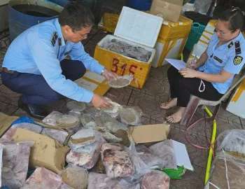 Ảnh bài viết