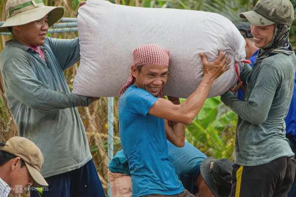 Giá gạo biến động mạnh, nông dân vui mừng, doanh nghiệp lo lắng