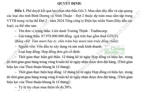 Cáp điện Trường Thịnh và ‘kịch bản’ đấu thầu quen thuộc tại Tổng công ty Điện lực Miền Nam