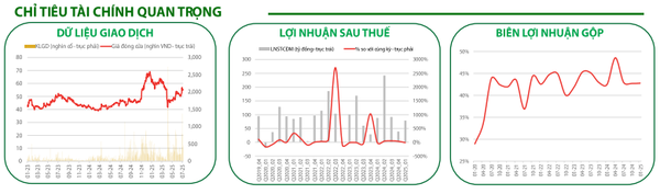 Chỉ tiêu tài chính quan trọng của TLG
