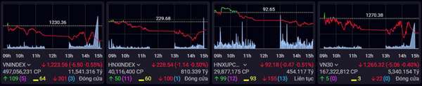 Chứng khoán ảm đạm phiên đáo hạn phái sinh, VN-Index mất hơn 6 điểm