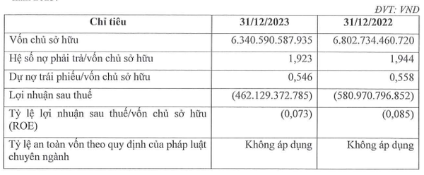 No Va Thảo Điền báo lỗ 462 tỷ đồng, mới thanh toán được 40% lãi trái phiếu