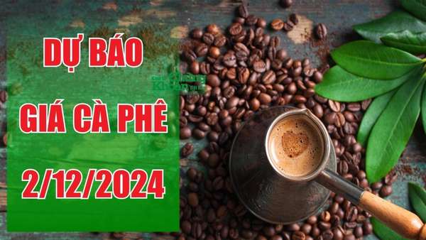 Dự báo giá cà phê ngày 2/12/2024: Chờ đợi tín hiệu phục hồi từ quốc tế