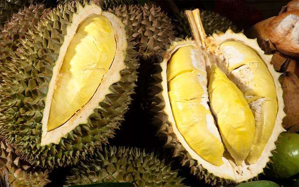 sau rieng 8