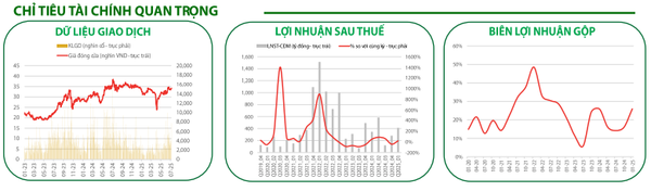 Các chỉ tiêu tài chính quan trọng 
