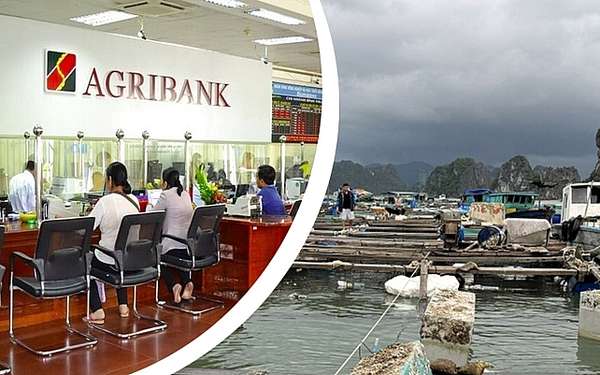 Agribank vừa triển khai chương trình cho vay ưu đãi với lãi suất chỉ từ 3,6%/năm dành cho khách hàng cá nhân bị thiệt hại do bão Yagi