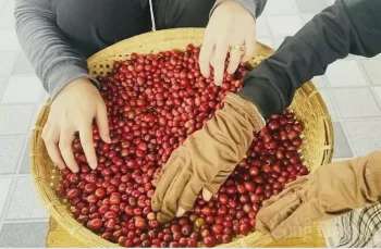 Ảnh bài viết