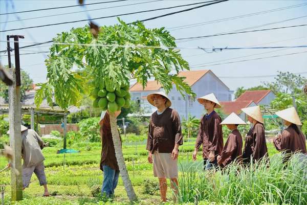 Hội nghị quốc tế về du lịch nông thôn: Cơ hội ‘vàng’ quảng bá du lịch Việt Nam