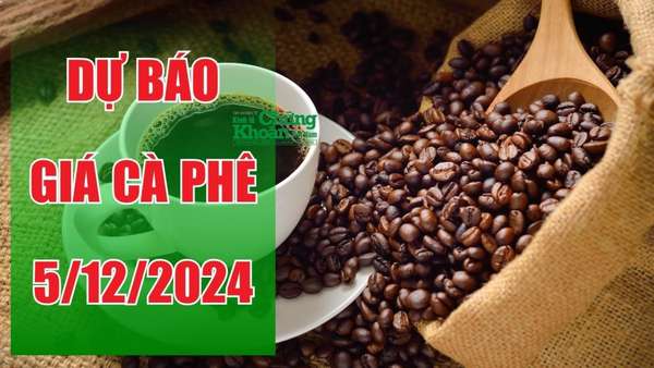 Dự báo giá cà phê ngày 5/12/2024: Tiếp tục lao dốc hay cơ hội tăng giá trở lại?